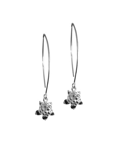 Örhänge Hjortron med stor krok