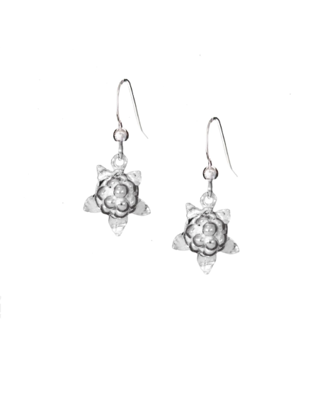 Örhänge Hjortron med liten krok