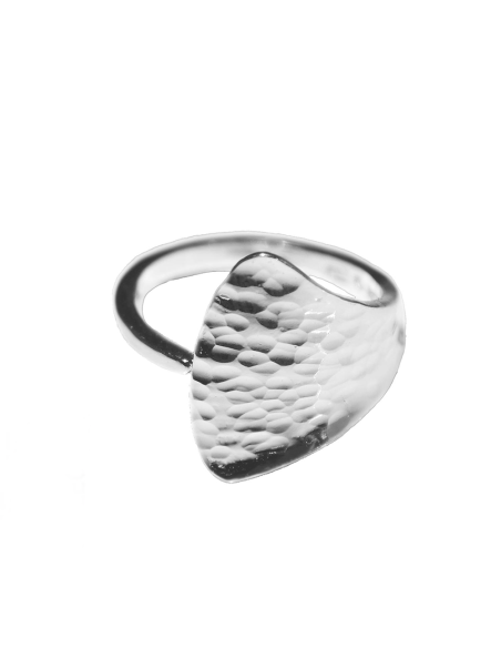 Ring Stora Sjöfallet