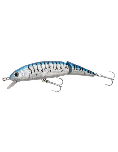 Tormentor jointed Blue Mackerel