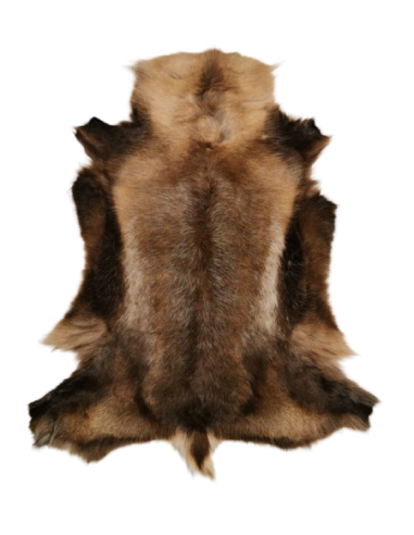 Reindeer Hide