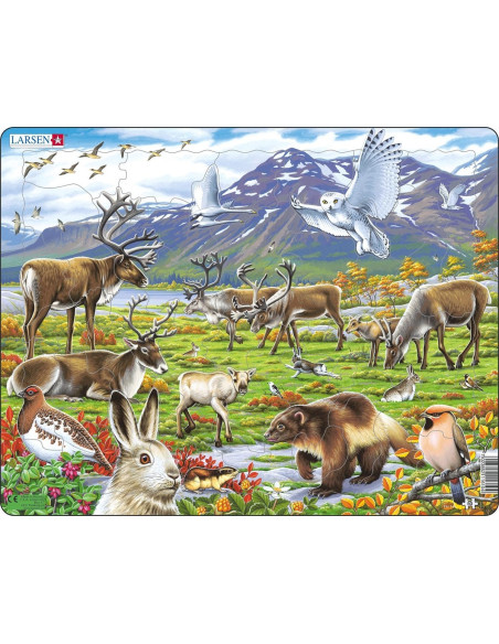 Puzzel Flora and Fauna of the Arctic Tundra