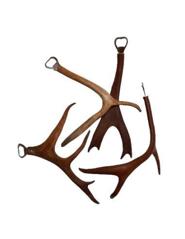 Bottle Opener with Reindeer Antler