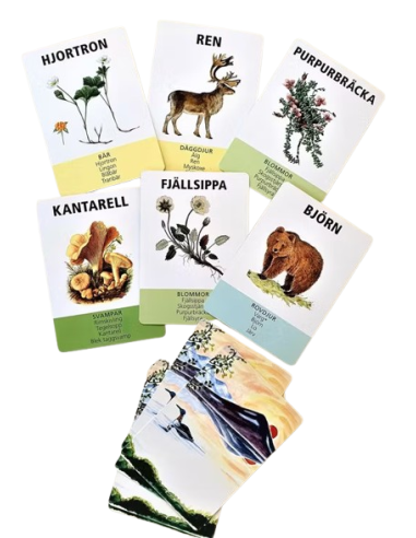 Fjällvärlden Card Game