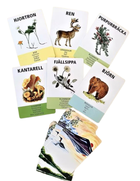 Fjällvärlden Card Game