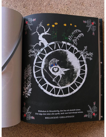 Bird Night by Malin Lantto and Elina Nygård